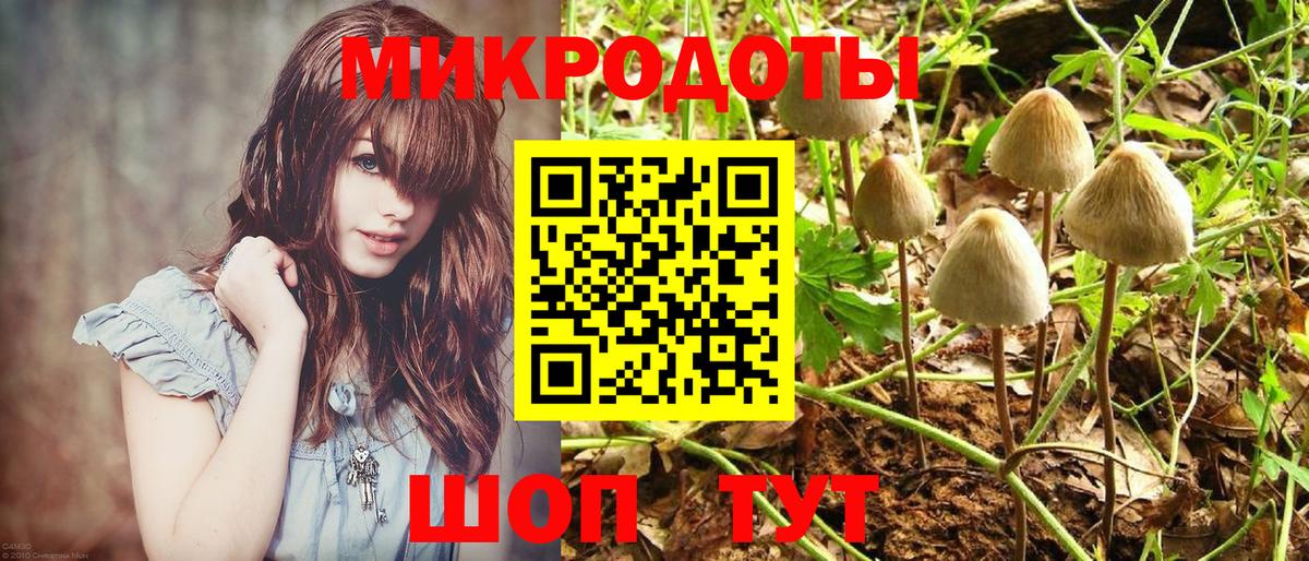 Псилоцибиновые грибы мухоморы Жигулёвск